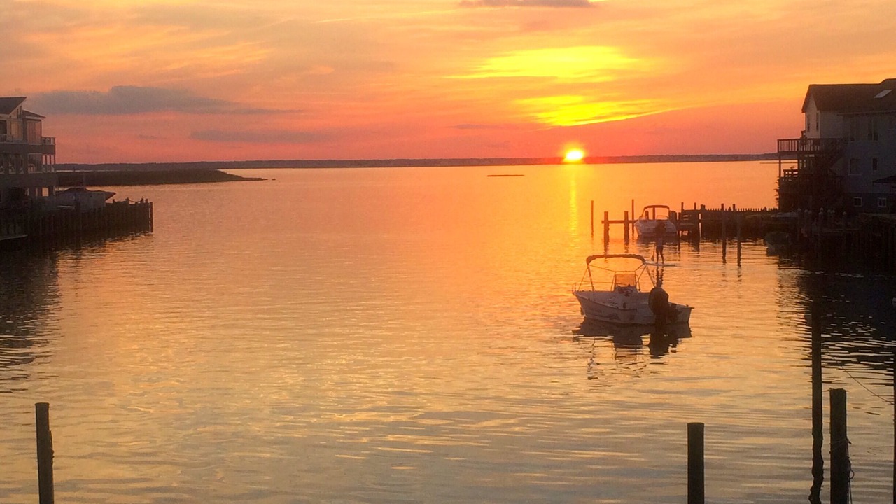 Photo of Others in Ship Bottom