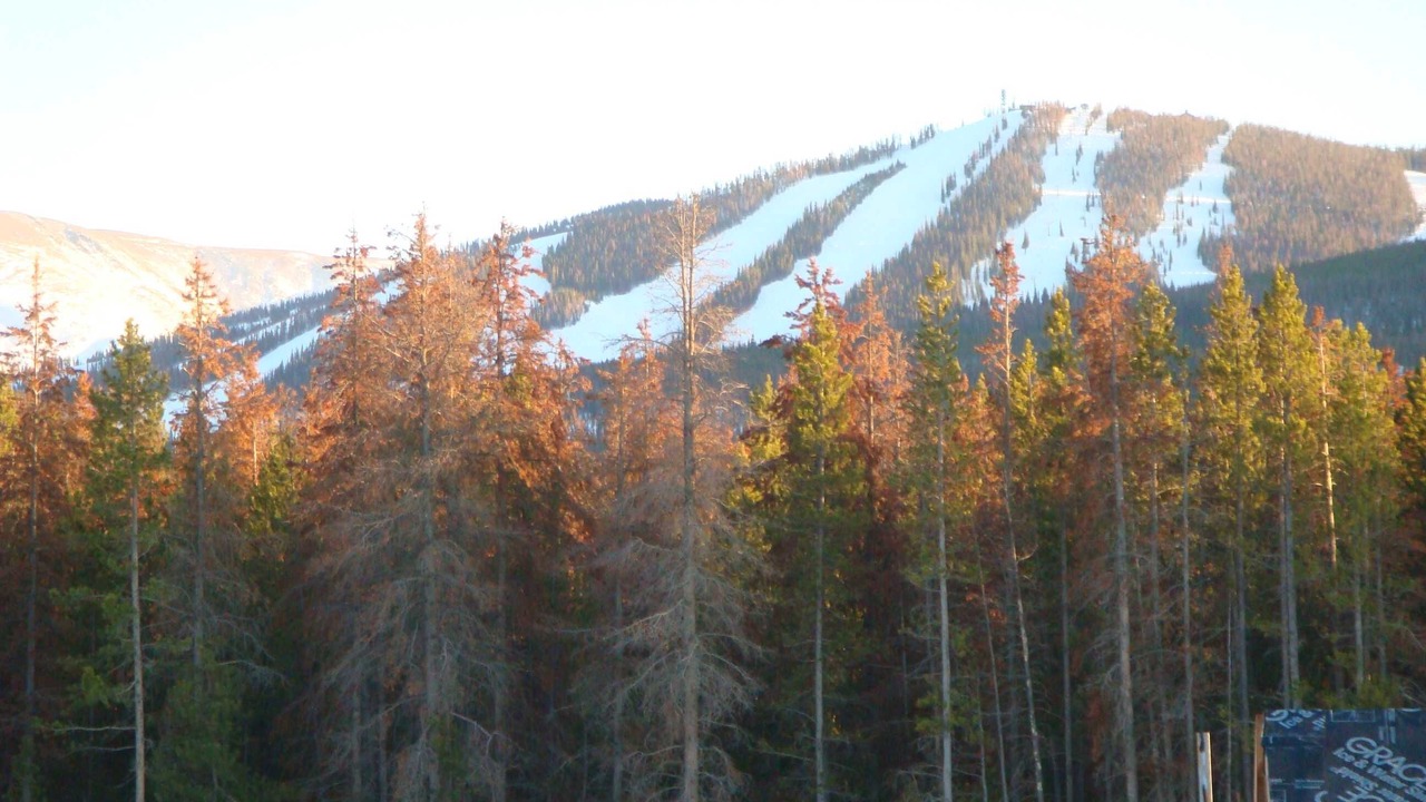 Photo of Others in Winter Park