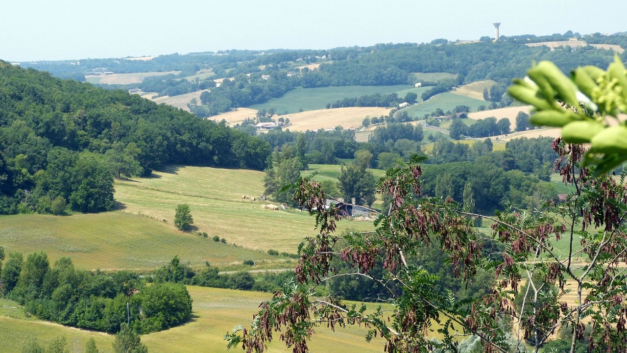 Photo of Others in Cauzac