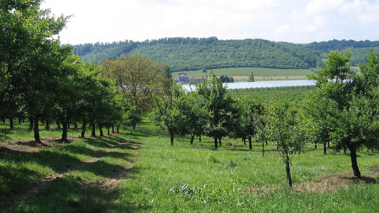 Photo of Outdoor in Cauzac