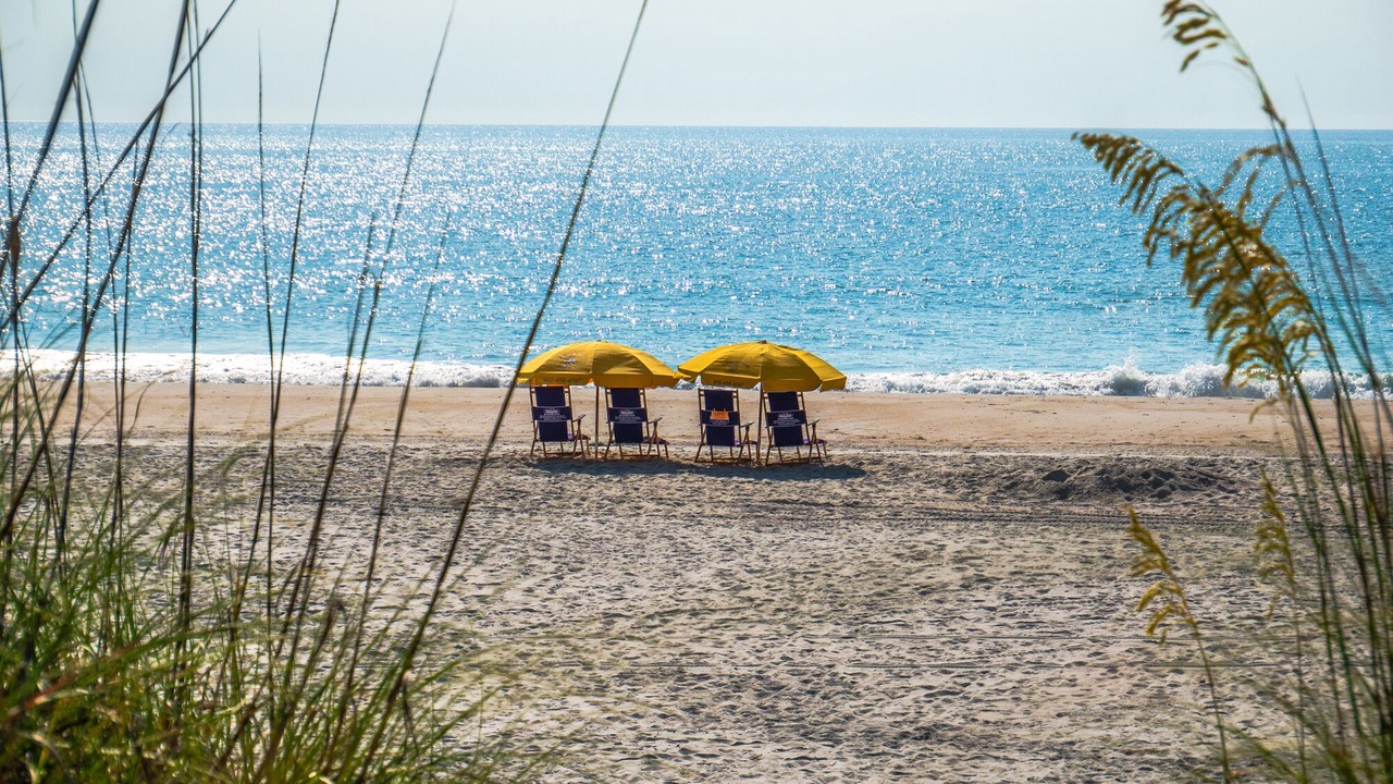 Photo of Others in North Carolina Coast
