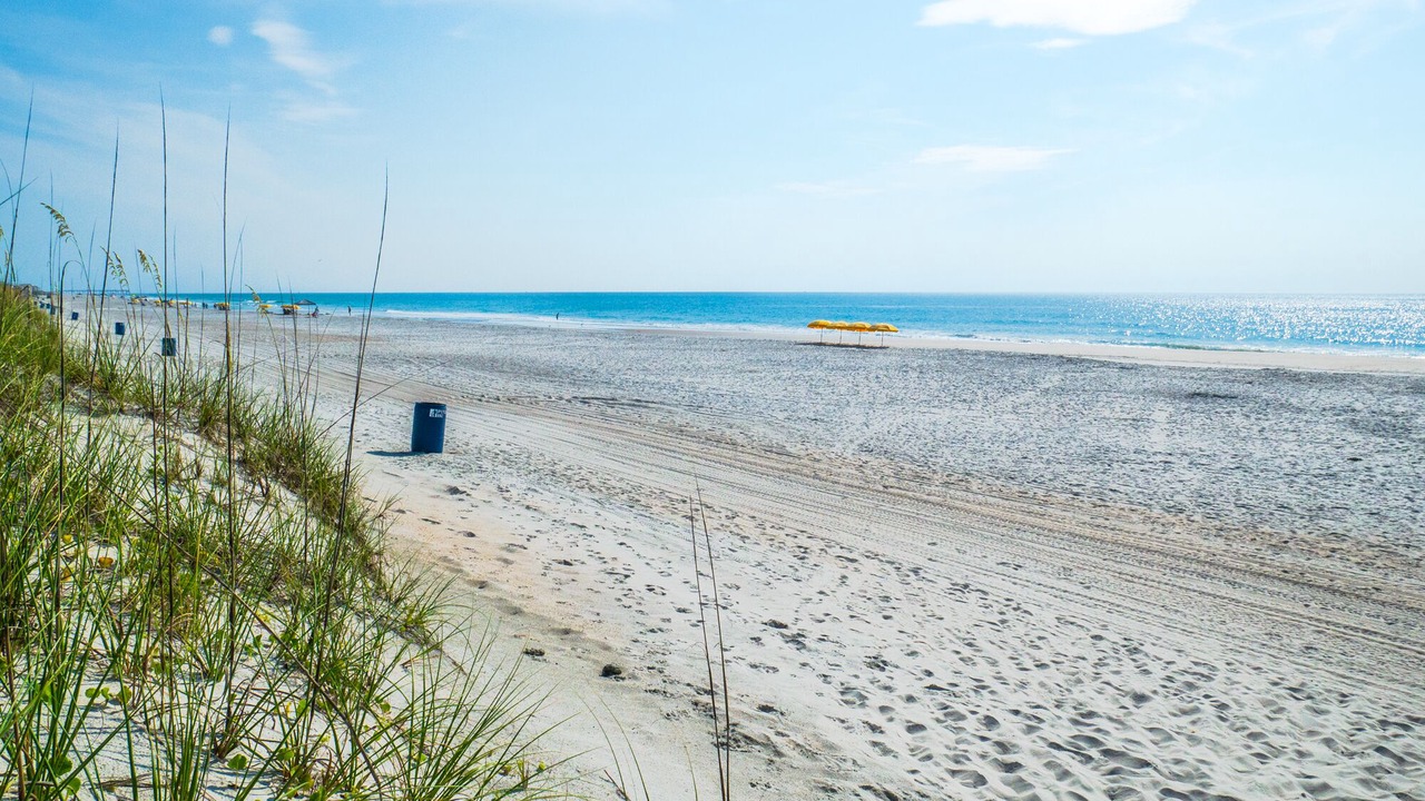 Photo of Others in North Carolina Coast