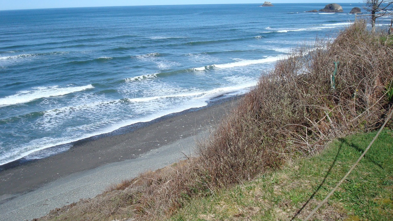 Photo of Others in Arch Cape