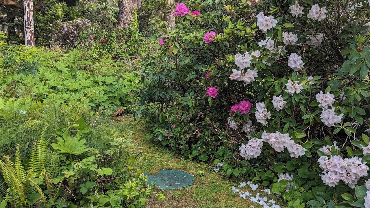 Photo of Outdoor in Arch Cape