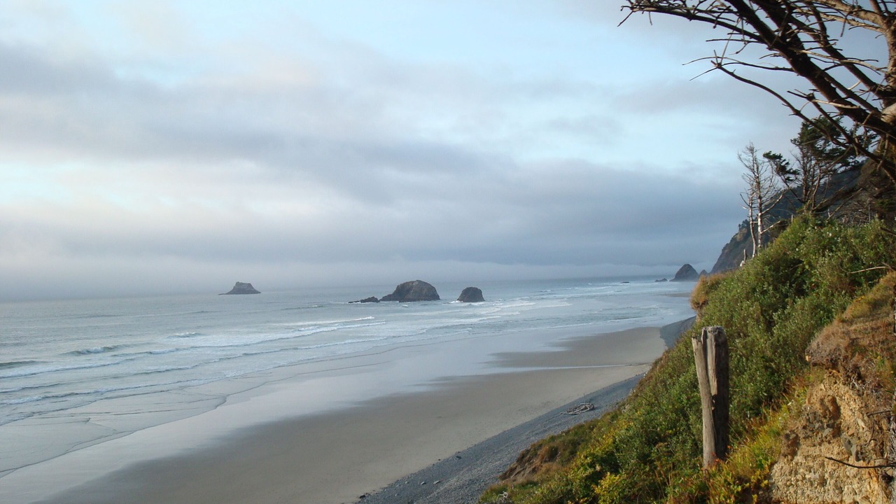 Photo of Others in Arch Cape