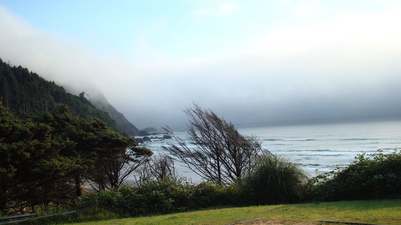 Photo of Outdoor in Arch Cape