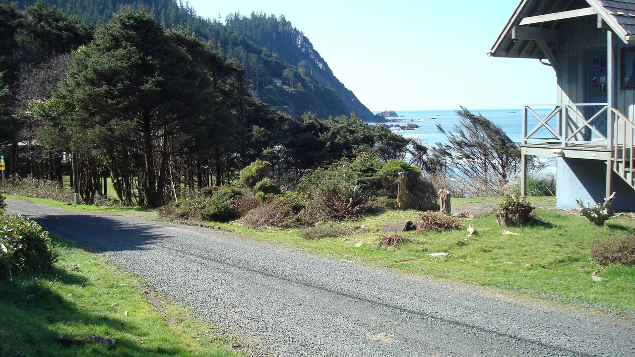 Photo of Others in Arch Cape