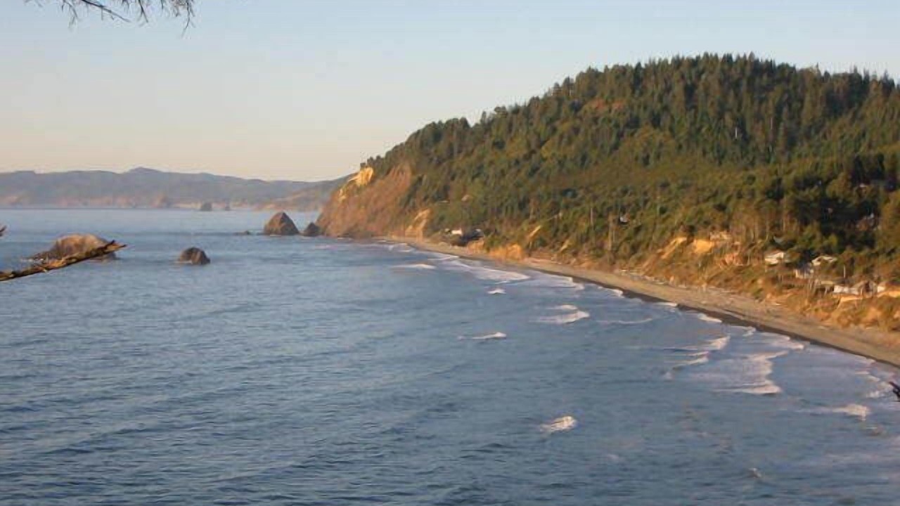 Photo of Others in Arch Cape