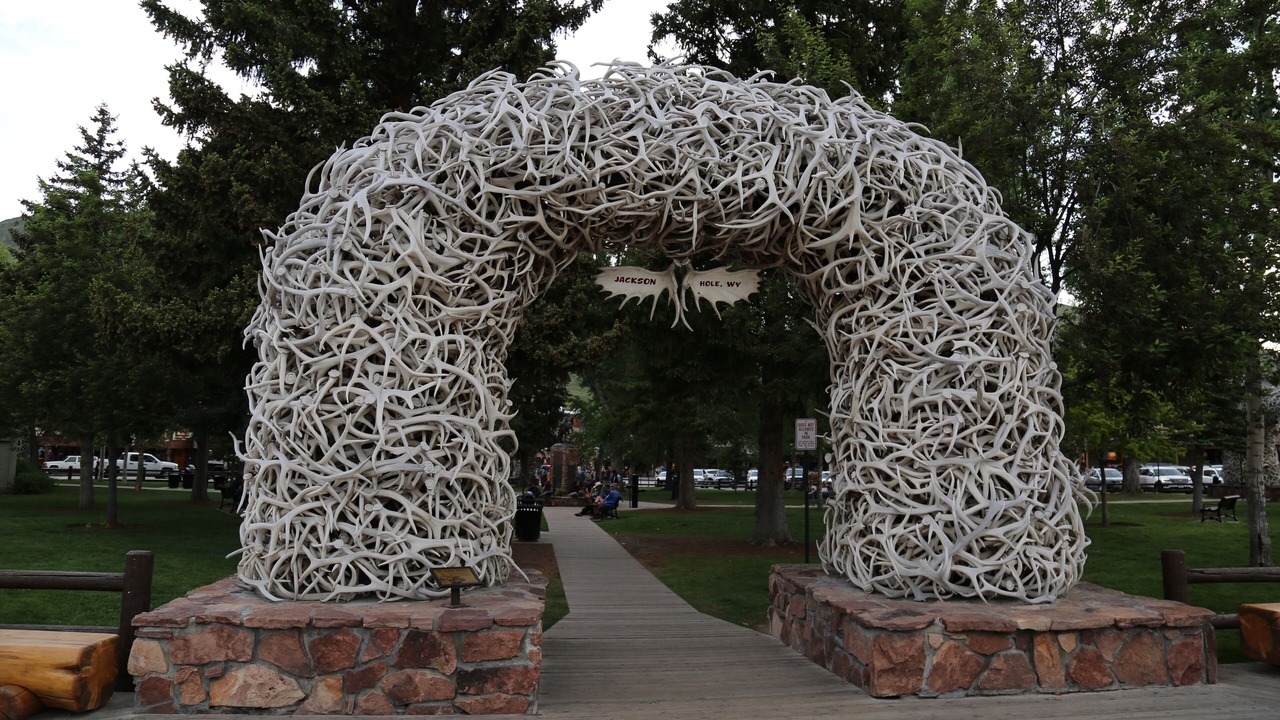 Photo of Outdoor in Jackson