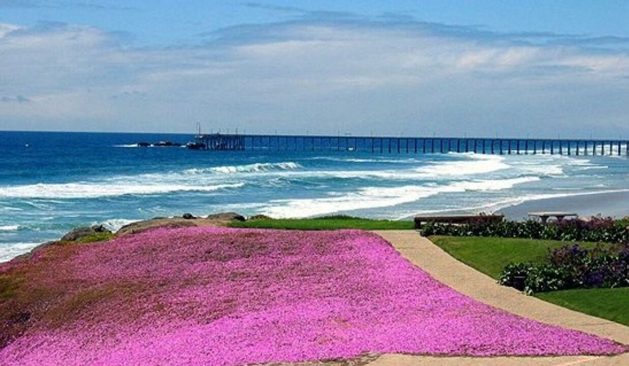 Photo of Others in La Paloma