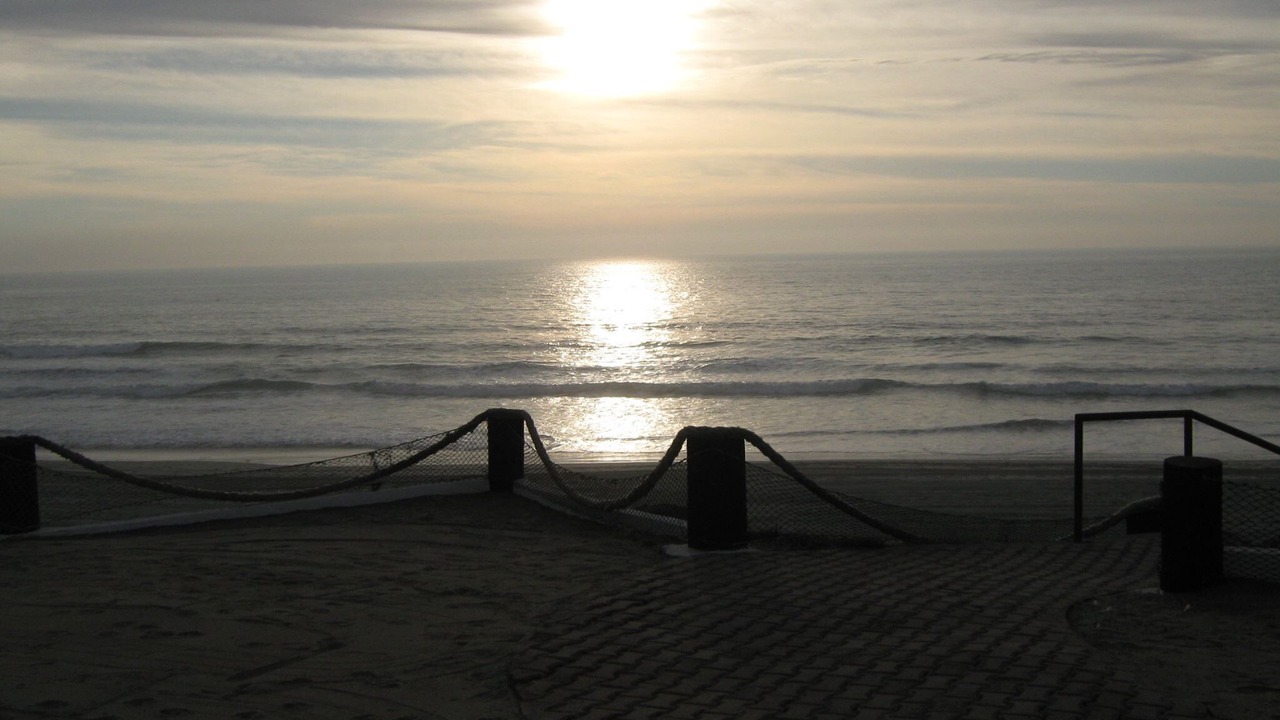 Photo of Others in La Paloma