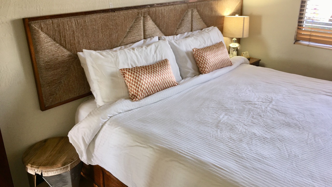 Photo of Others in La Paloma