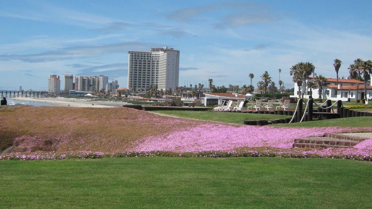 Photo of Others in La Paloma