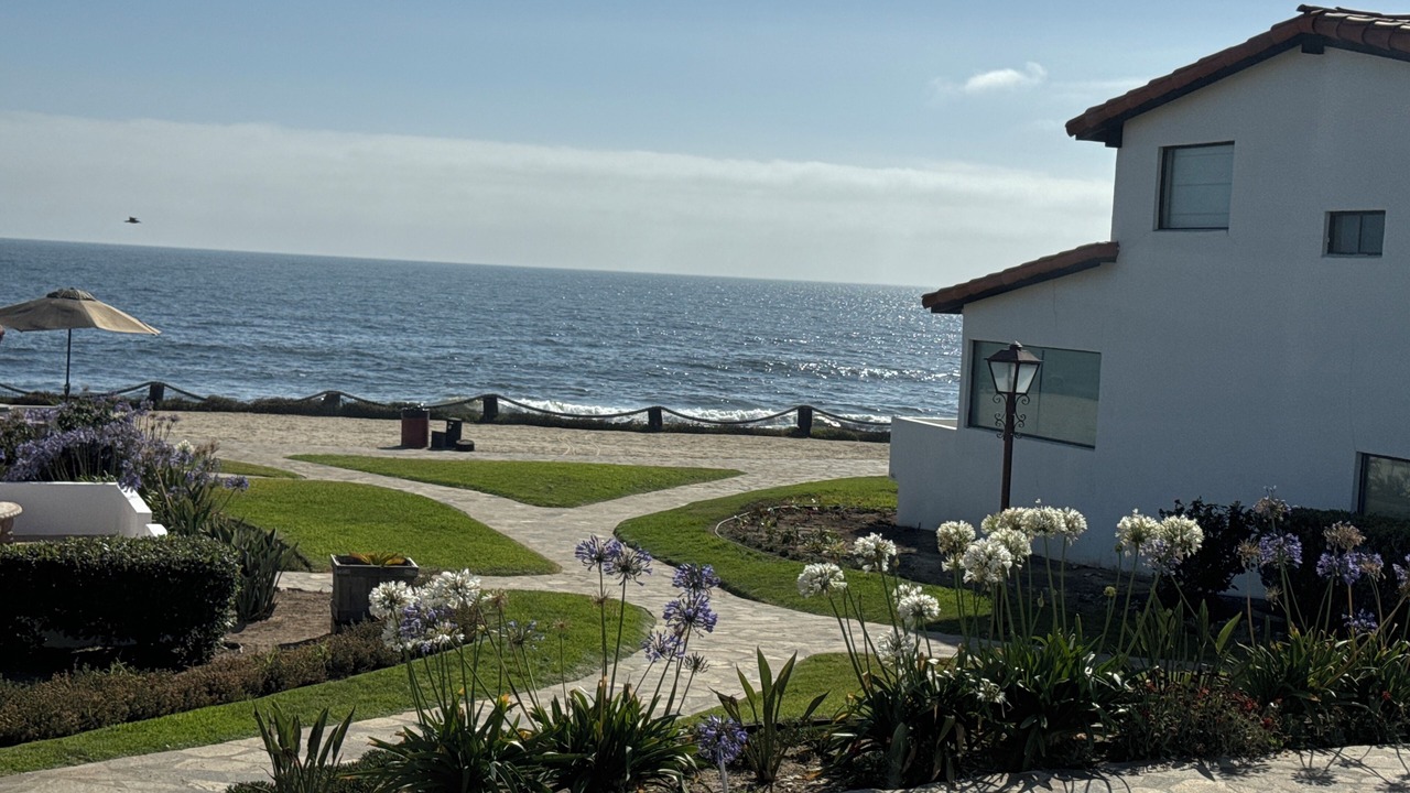 Photo of Others in La Paloma