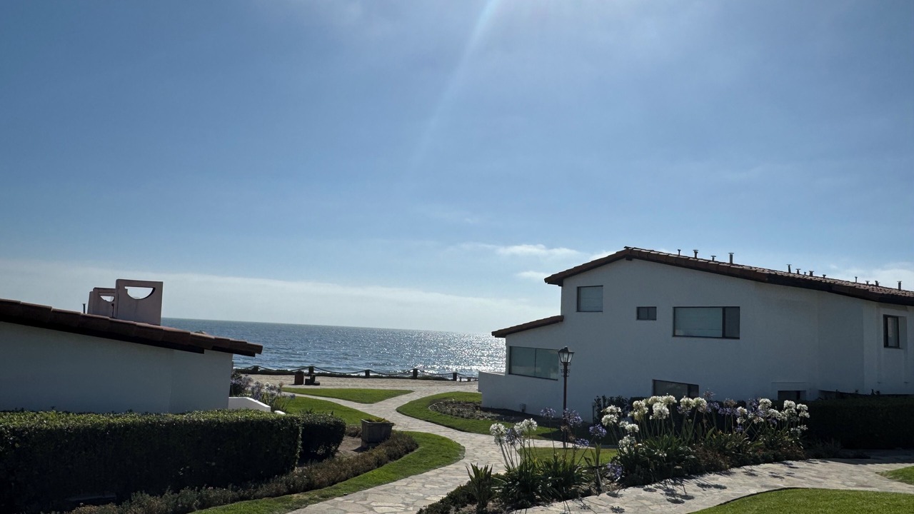 Photo of Others in La Paloma