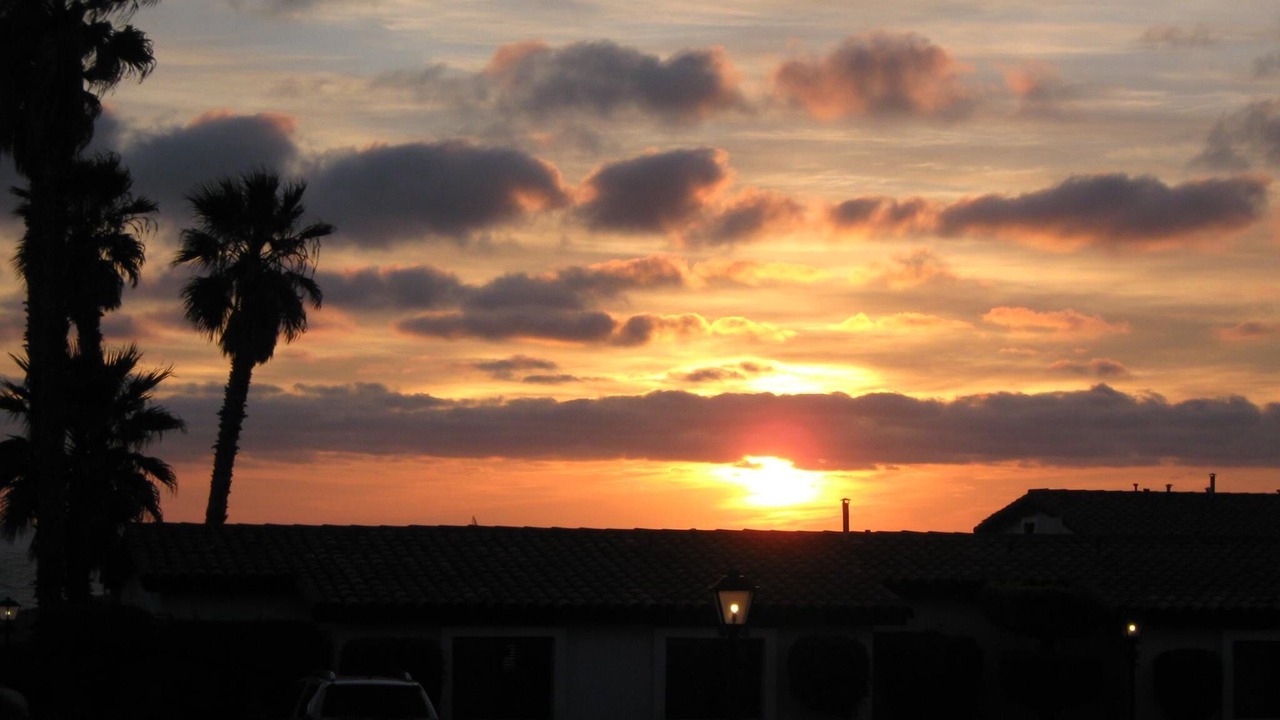 Photo of Others in La Paloma