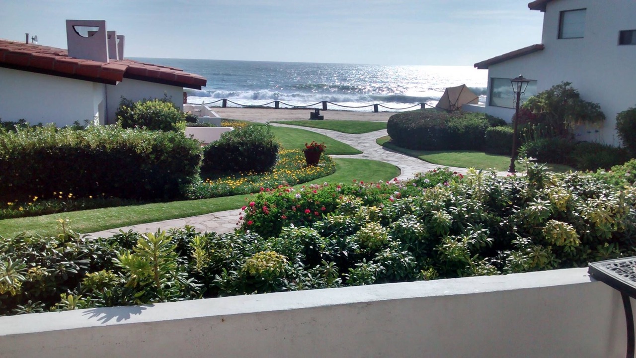 Photo of Others in La Paloma