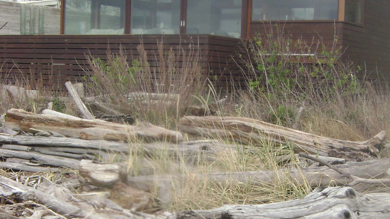 Photo of Outdoor in Everett