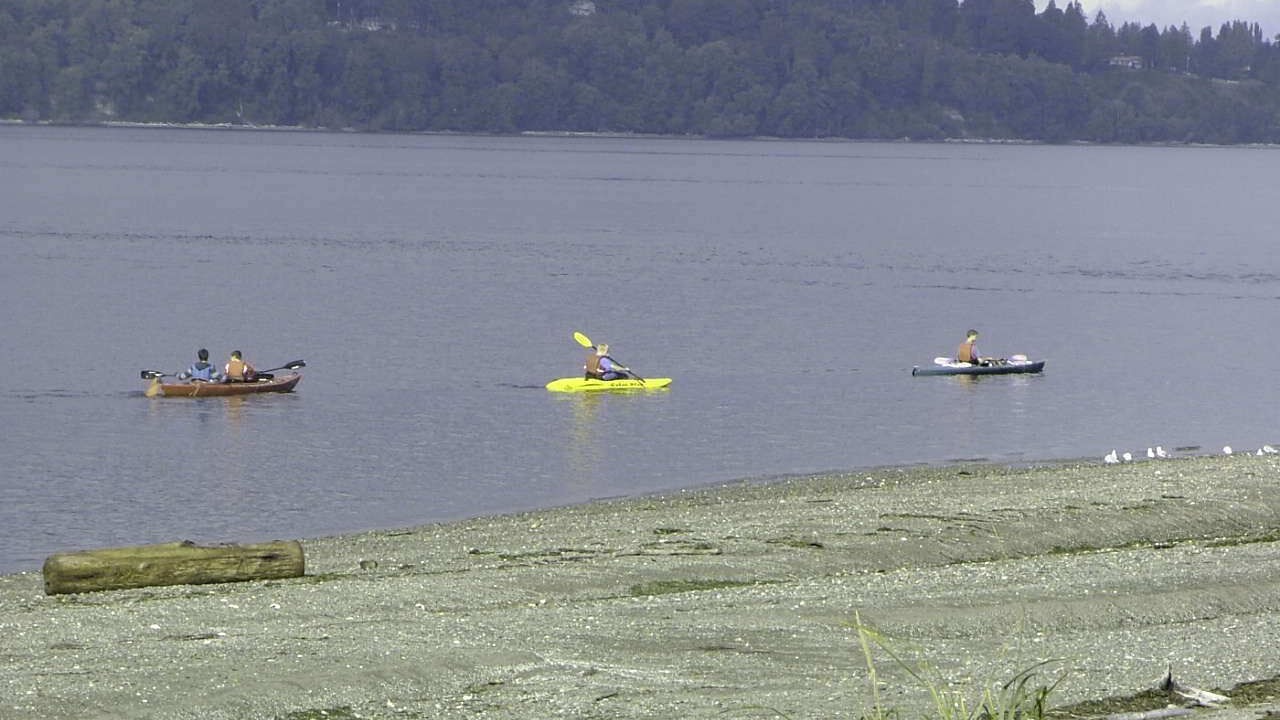 Photo of Others in Everett