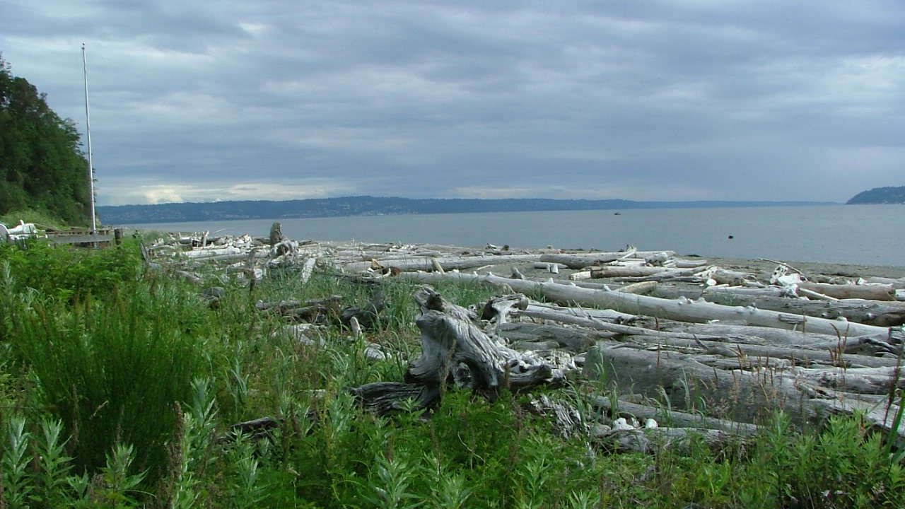 Photo of Others in Everett