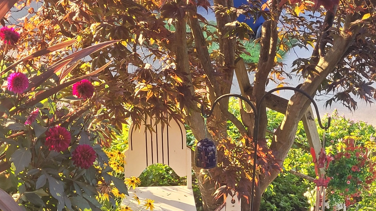 Photo of Others in Niagara Falls