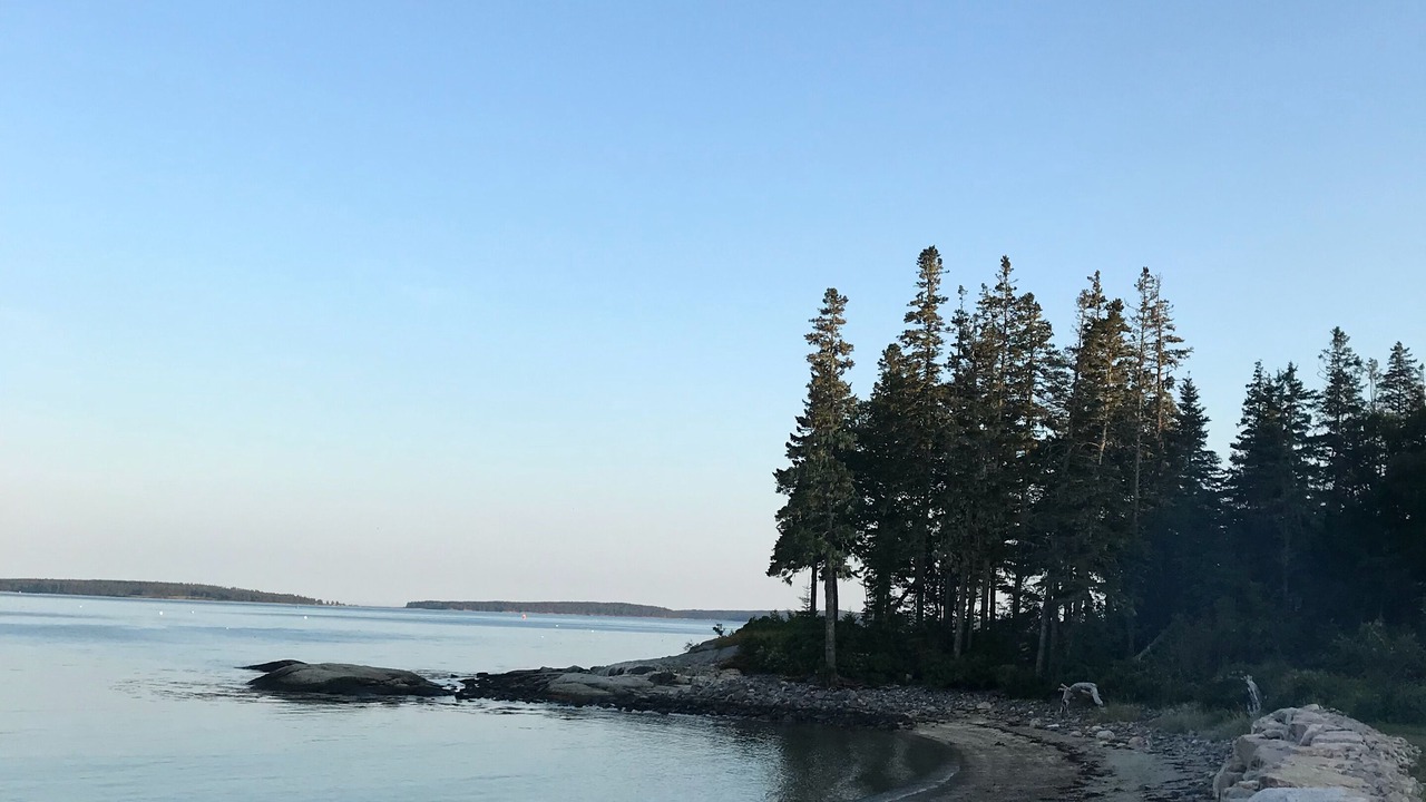 Photo of Others in Bernard