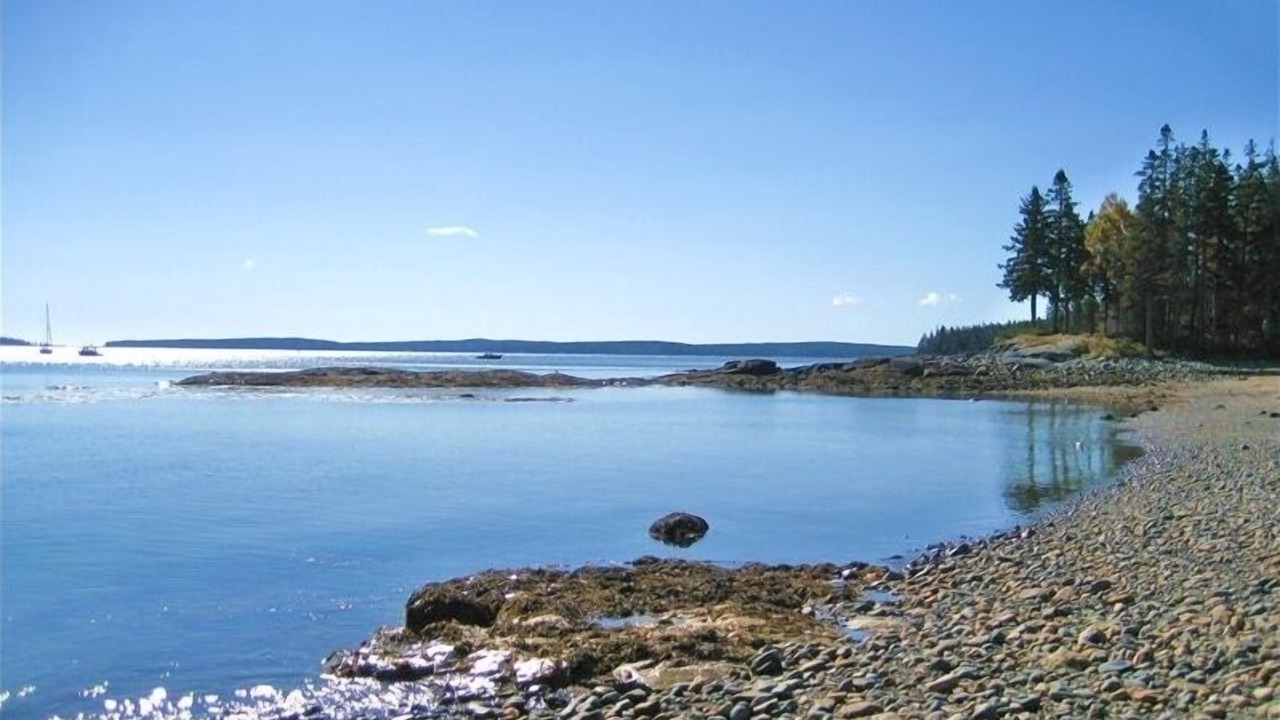 Photo of Others in Bernard