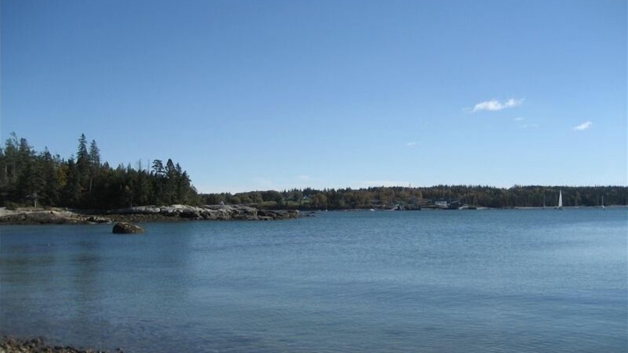 Photo of Others in Bernard