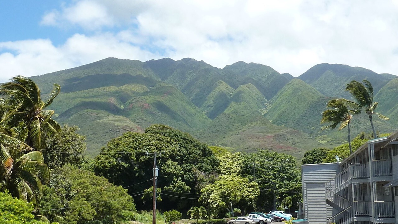 Photo of Others in Ualapue