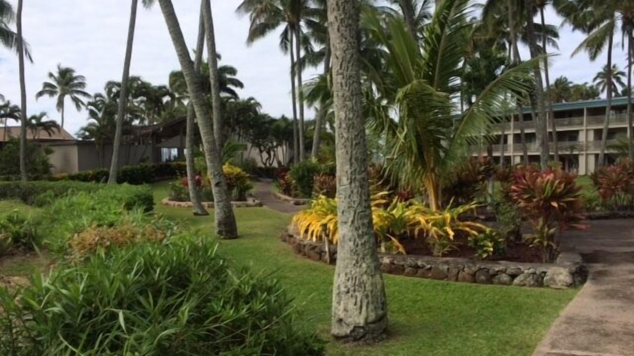 Photo of Others in Ualapue