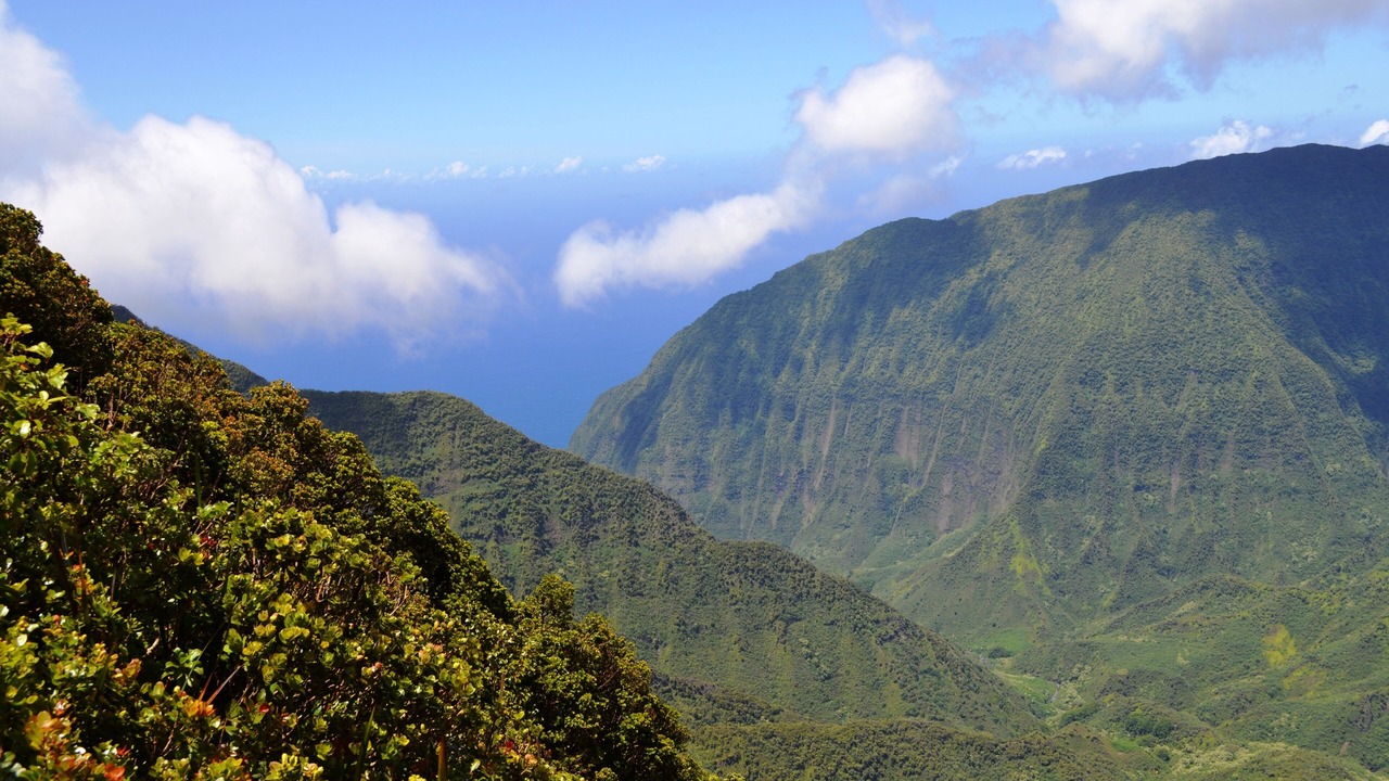 Photo of Others in Ualapue