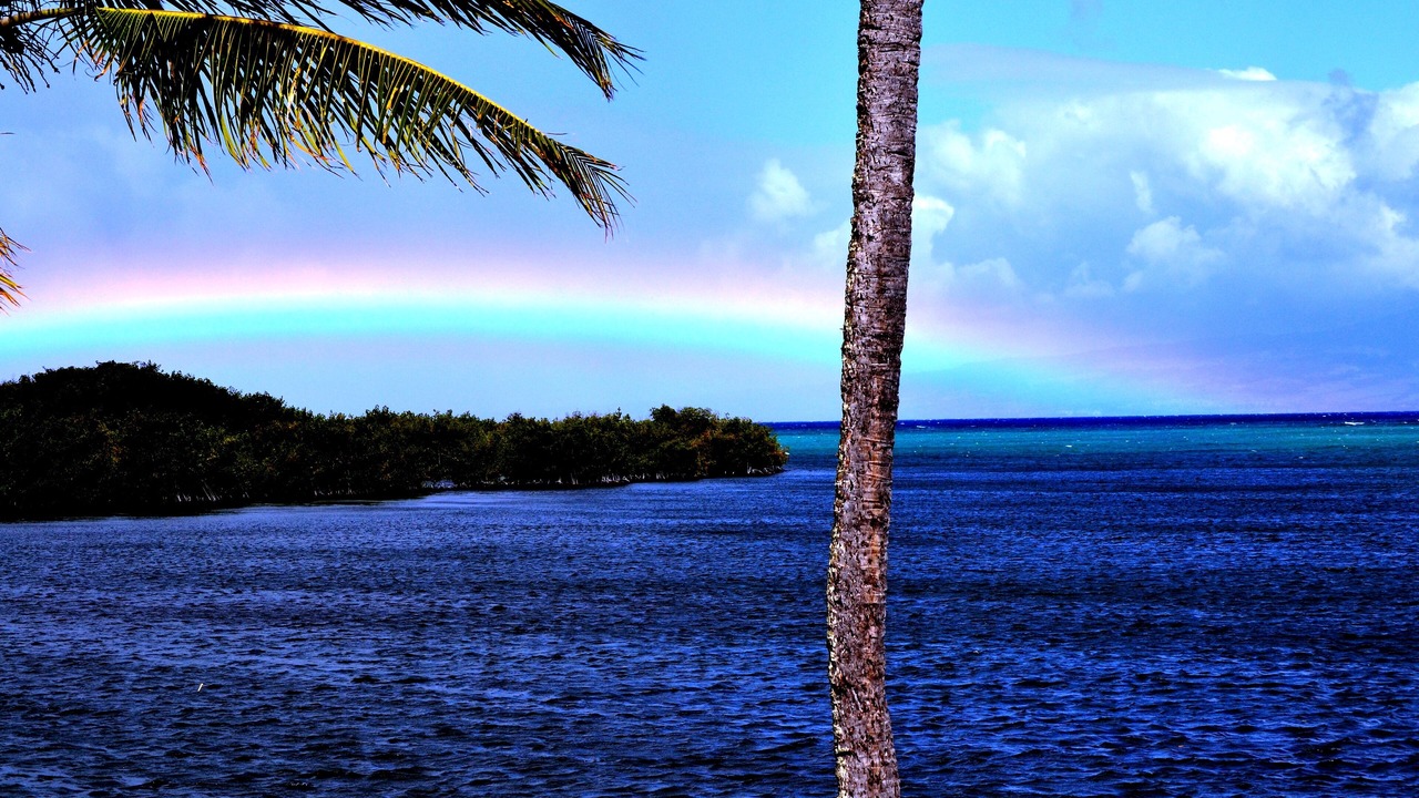 Photo of Others in Ualapue