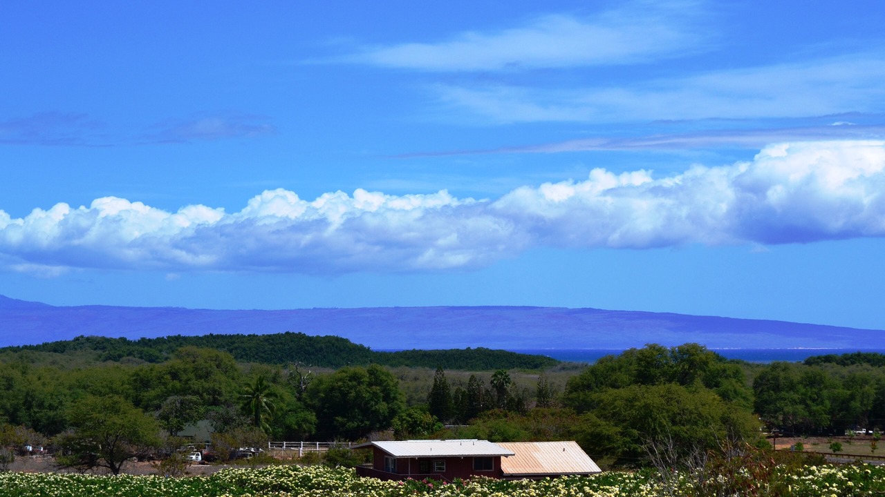 Photo of Others in Ualapue