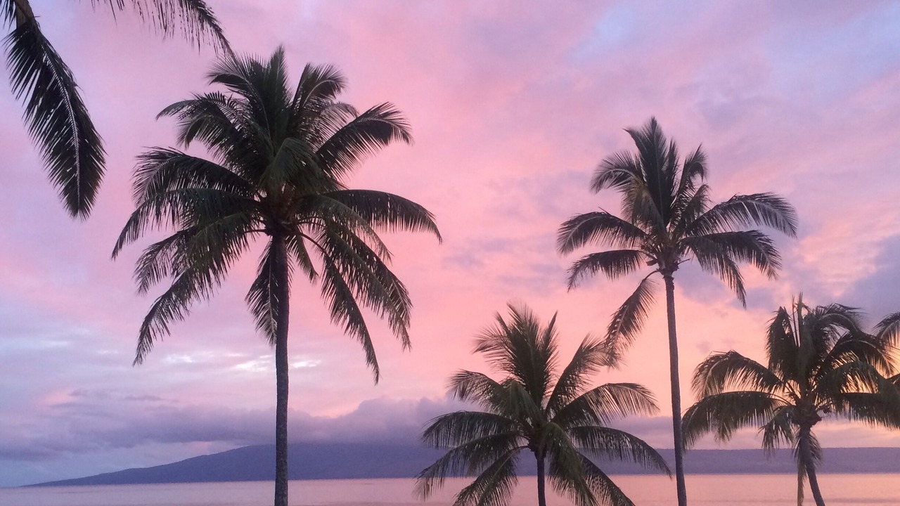 Photo of Others in Ualapue