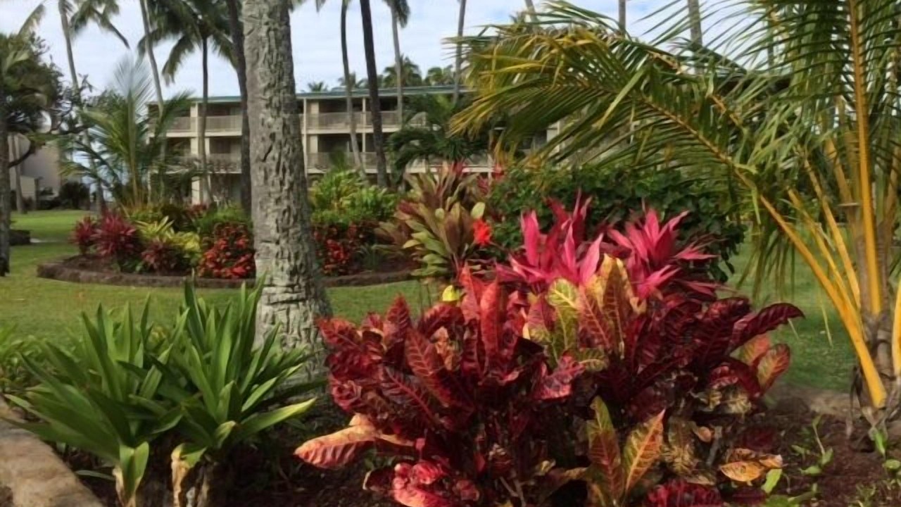 Photo of Others in Ualapue