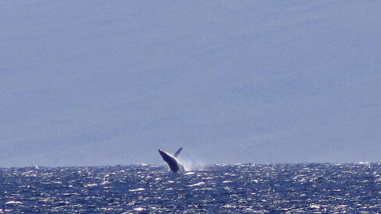 Photo of Others in Ualapue