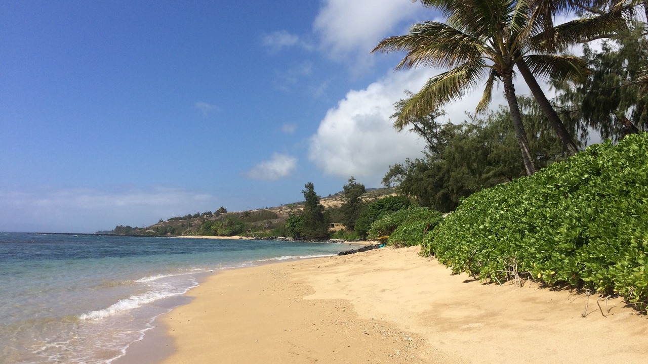 Photo of Others in Ualapue