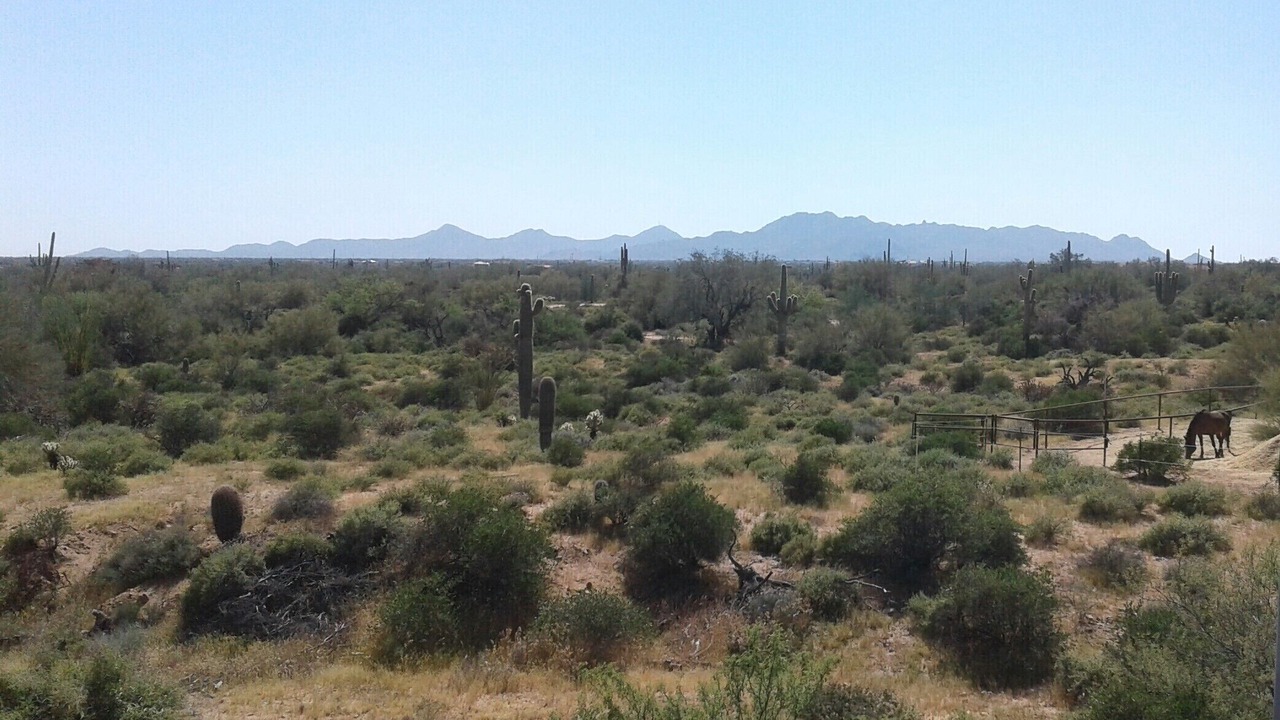 Photo of Others in Rio Verde Foothills