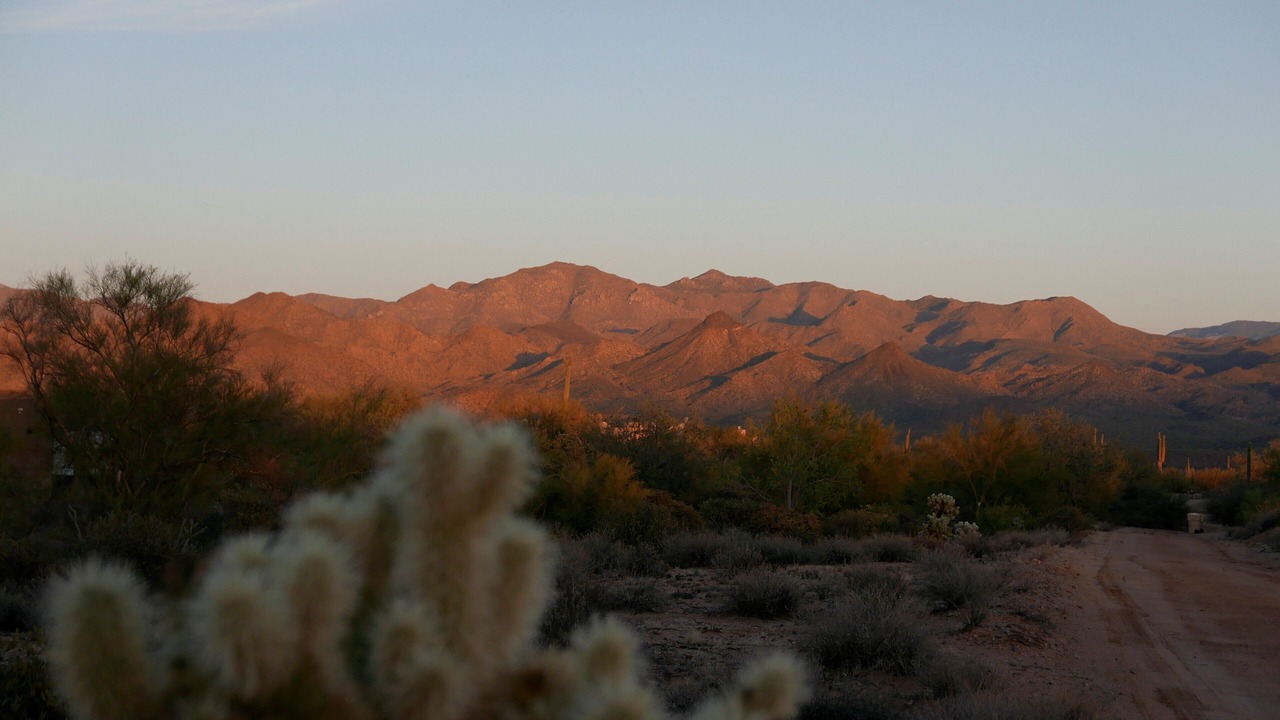 Photo of Others in Rio Verde Foothills