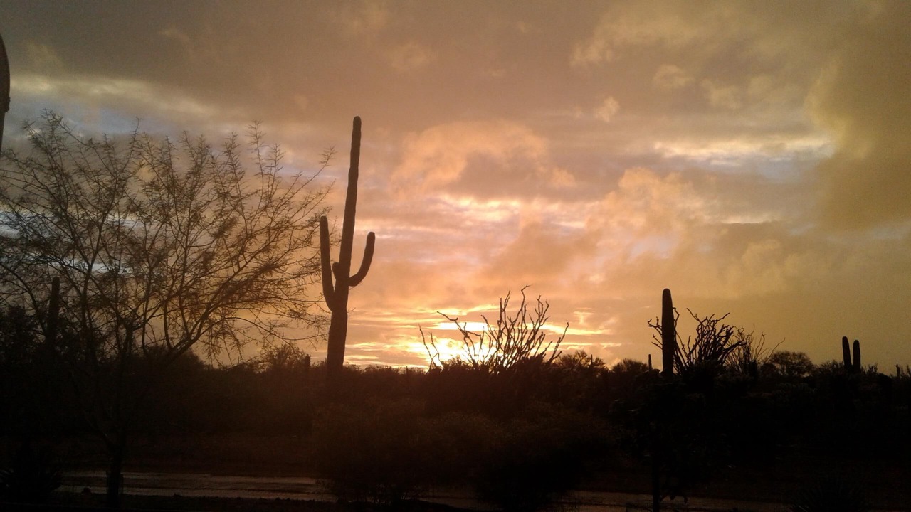 Photo of Others in Rio Verde Foothills