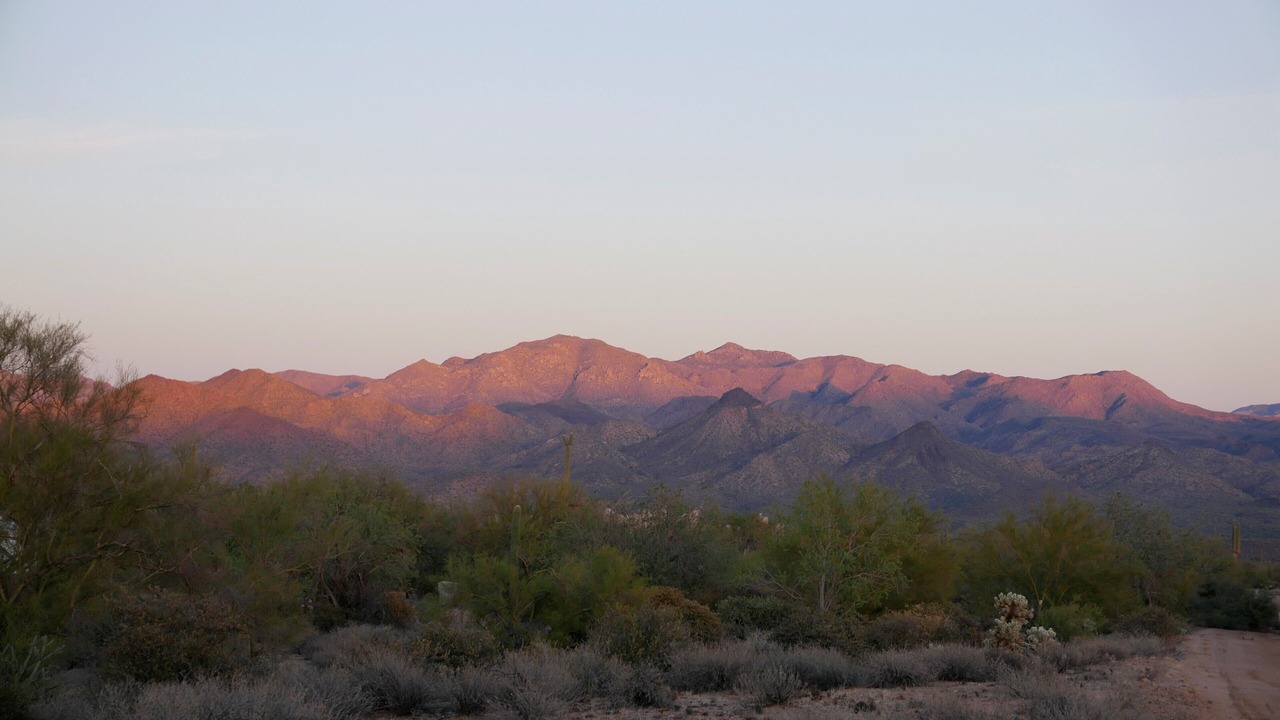 Photo of Others in Rio Verde Foothills
