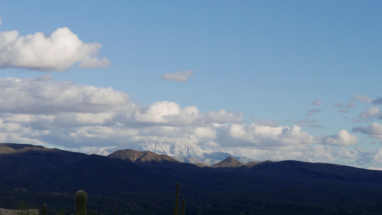 Photo of Others in Rio Verde Foothills