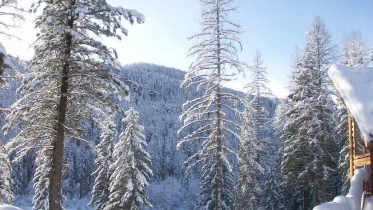 Photo of Others in Whitefish