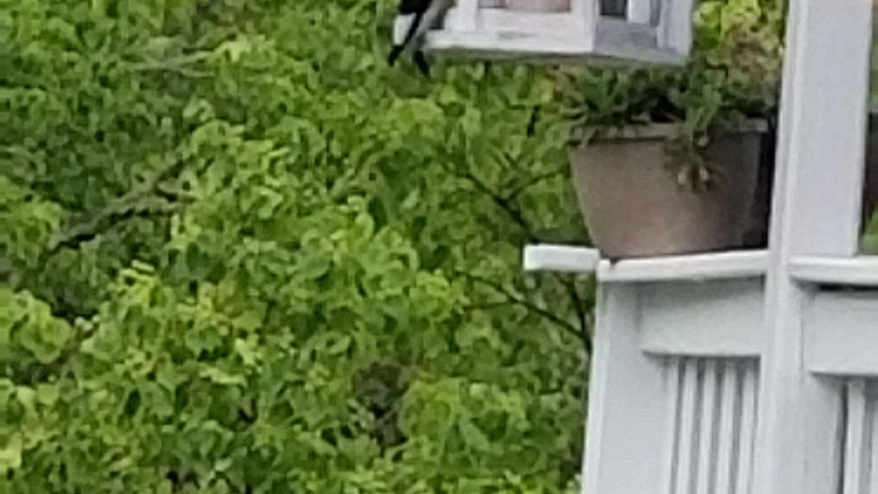 Photo of Others in Shoreline Park