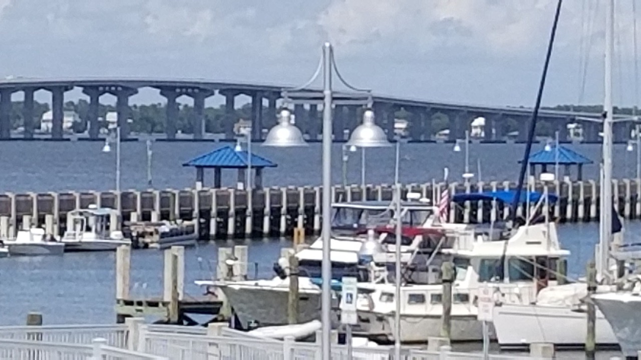 Photo of Others in Shoreline Park