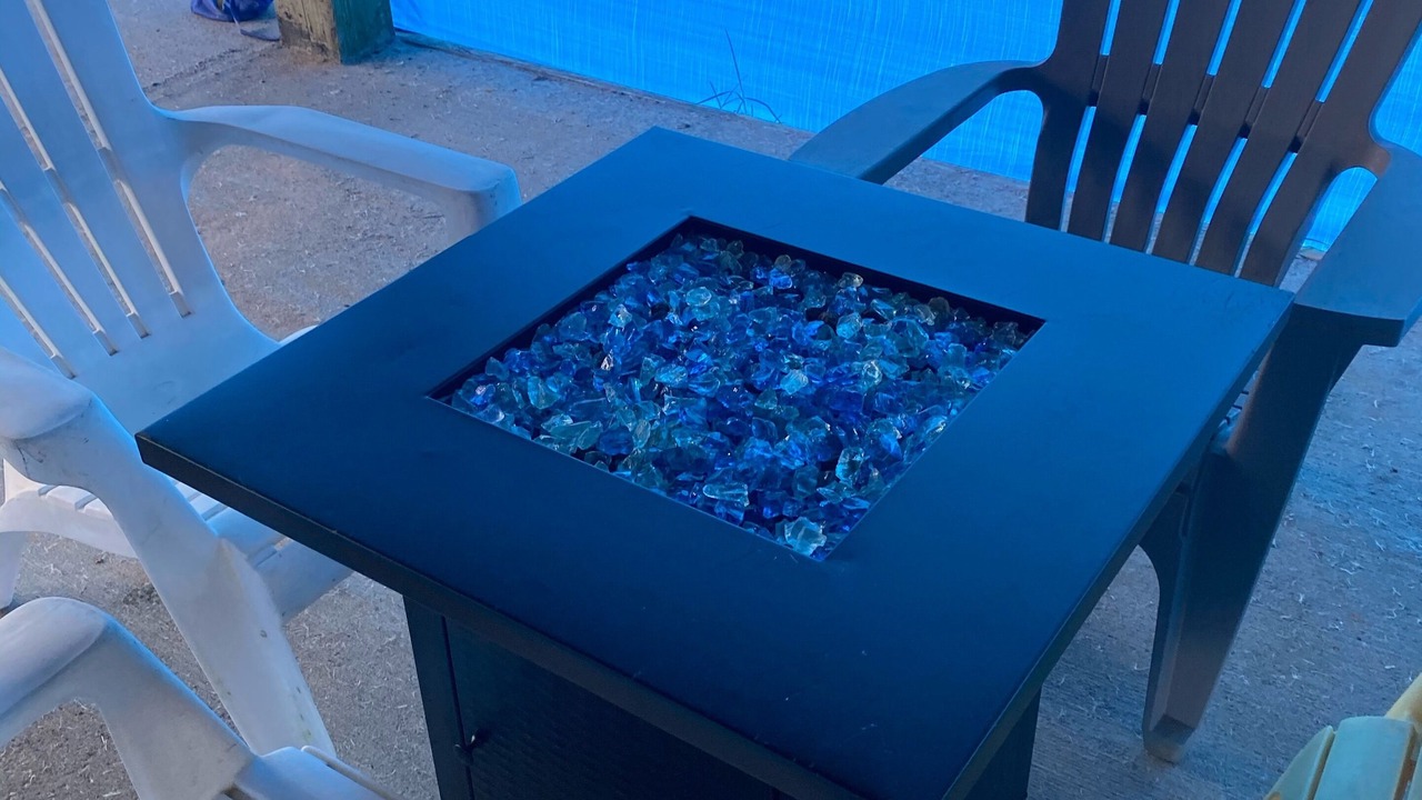 Photo of Others in Shoreline Park