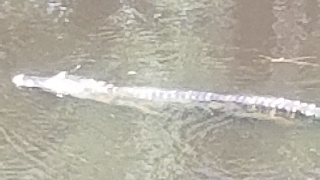 Photo of Others in Shoreline Park