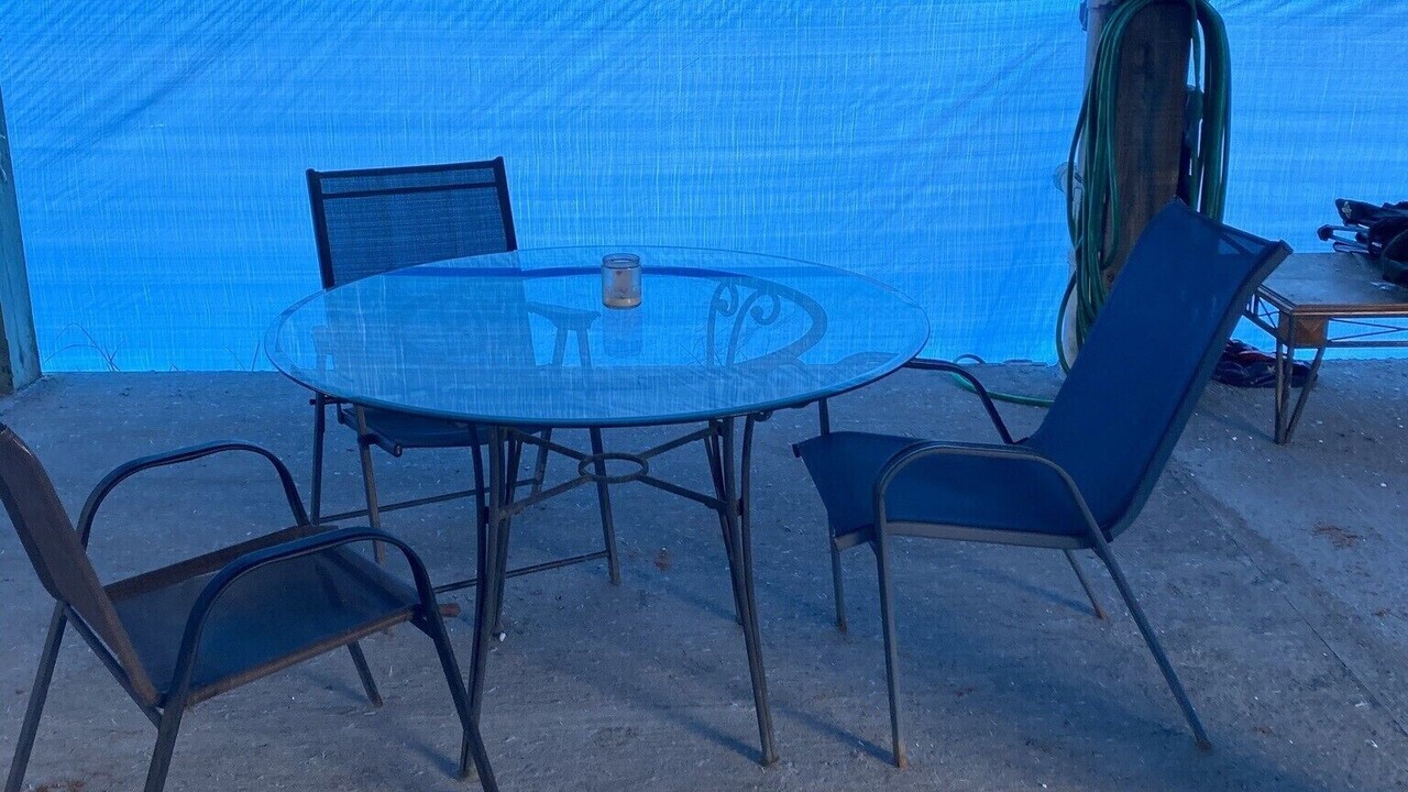 Photo of Others in Shoreline Park