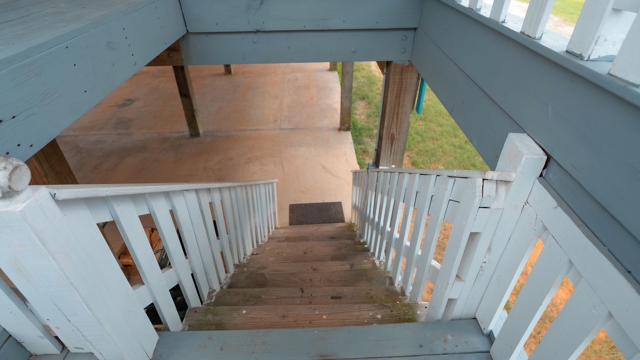 Photo of Outdoor in Shoreline Park