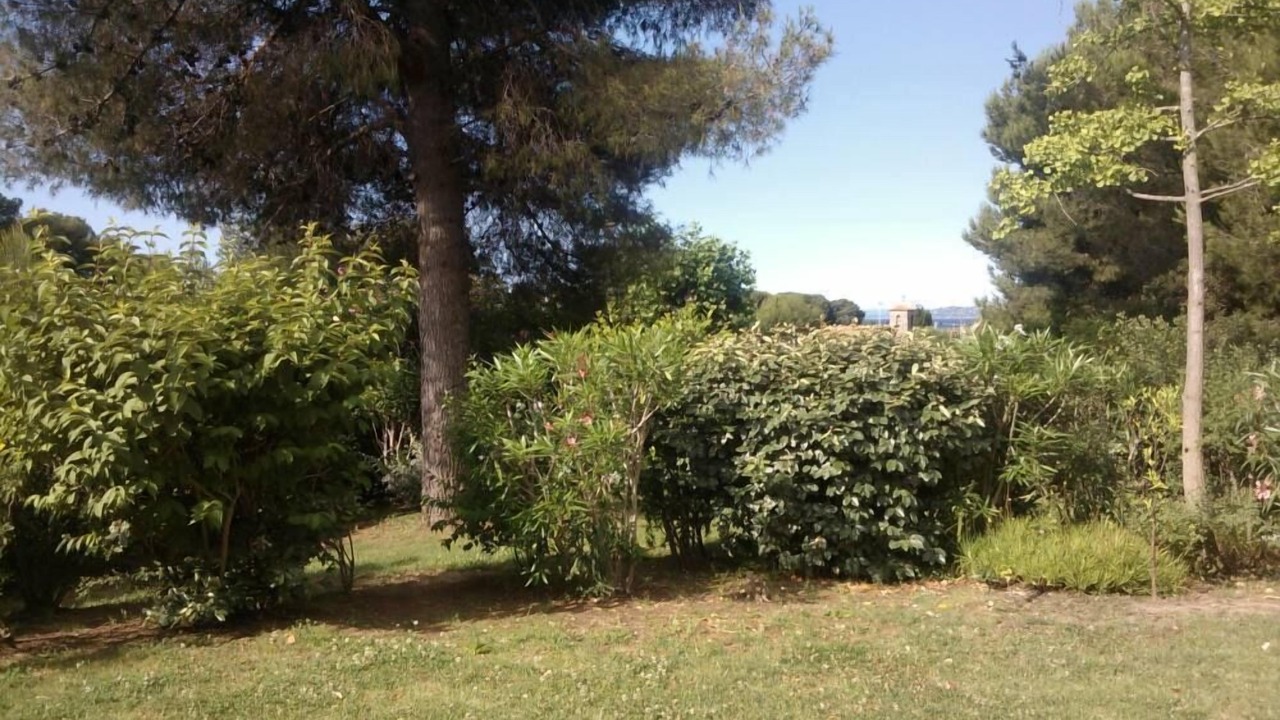 Photo of Others in Le Dramont